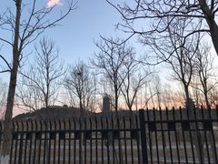 -永定河休闲森林公园