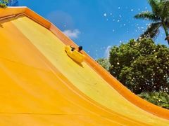 -巨鹏飞梦幻海岸