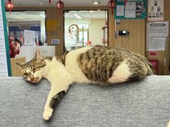 -新东方前途出国留学·小语种(华联校区)