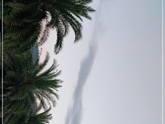 -木屋烧烤(惠阳华润小径湾店)