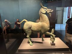 -广西壮族自治区博物馆