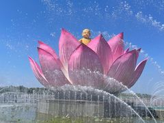 -荷花大观园