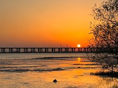 -宝安西湾红树林湿地公园