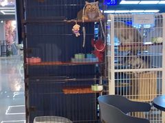 -嘉亿台球俱乐部(观前店)
