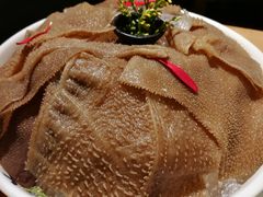 大龙特色毛肚-大龙燚火锅