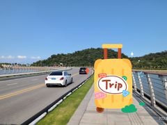 -野狸岛