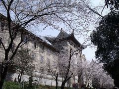 -武汉大学-樱园