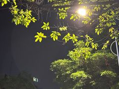 -蠔爺王志德生蚝馆(金沙湾店)