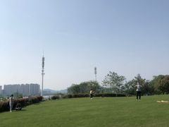 -张记捆鸡(总店)