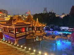 -绿波廊(豫园店)