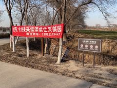 -西青郊野公园