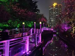 -苏州河梦清园环保主题公园