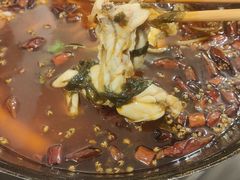 -鸿顺老铁锅美蛙鱼府(解放碑店)