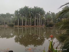 -中国科学院西双版纳热带植物园