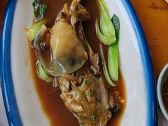 -天正河鲀·河豚亭(大连店)