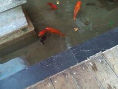 android_upload_pic-旅马餐厅(茅家埠店)