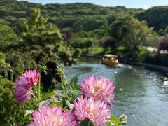 -苏州上方山国家森林公园