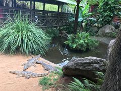 -热带雨林自然公园