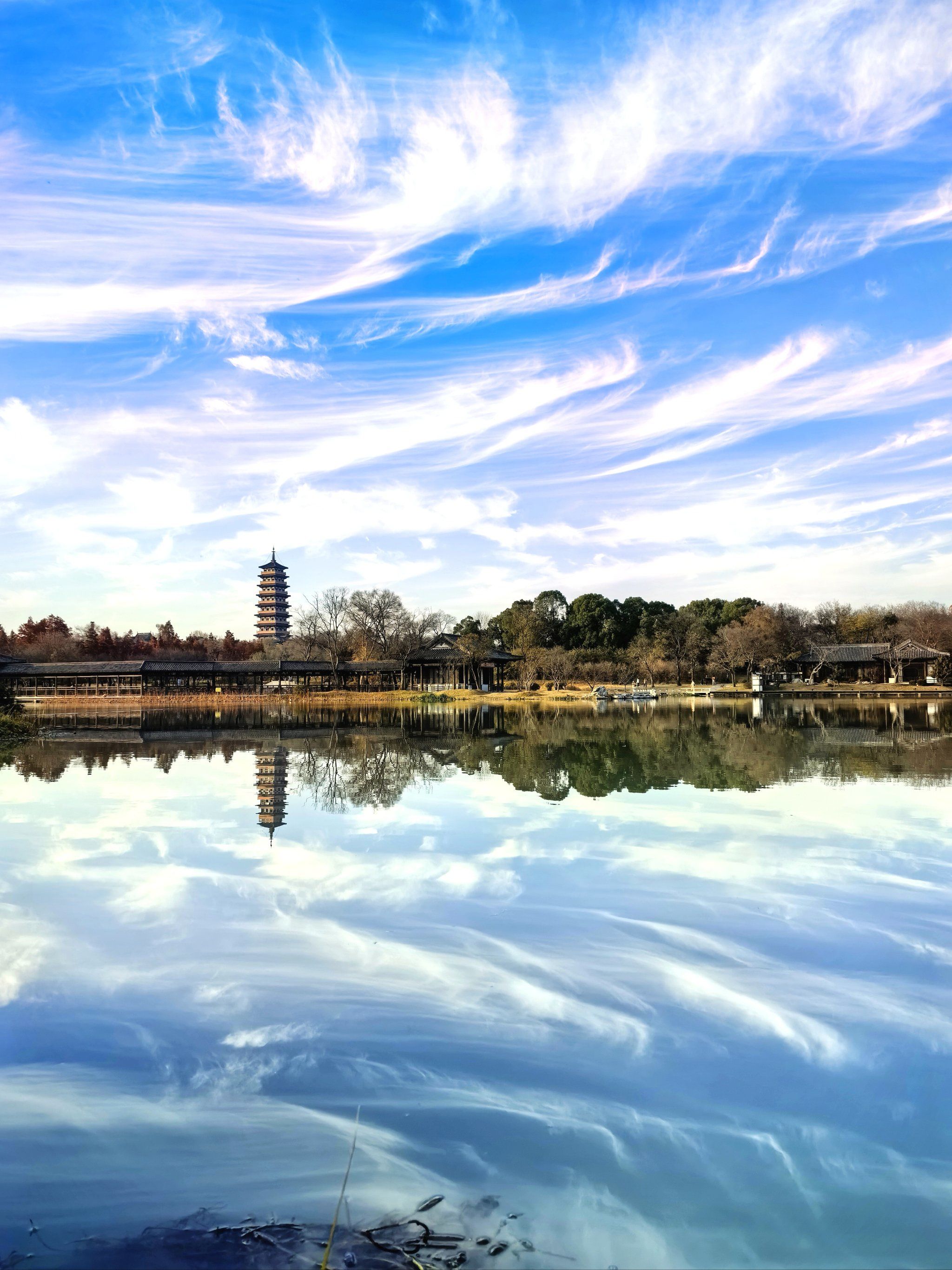 冬天的瘦西湖别有一番滋味