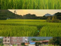 -增城大丰门漂流