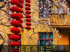 -杭州上天竺法喜讲寺