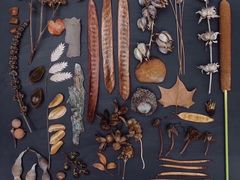 -森野花艺培训·企业团建活动沙龙