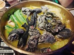 -Darling Queen·Mini·Live·House