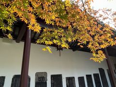 -苏州文庙(姑苏区)