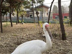-保定市动物园