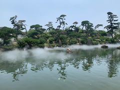 -罗红摄影艺术馆