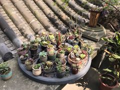 -磁器口古镇