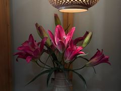 -龙华素斋(龙华路店)