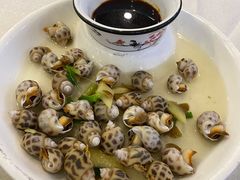 白灼花螺-天桥饭店·特色海鲜(金山嘴渔村店)