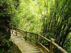 -阿依河景区