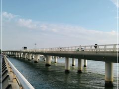 -演武大桥观景平台