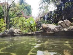 -昆明柏联SPA温泉