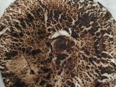 -7-ELEVEn(深圳宝安机场近14登机口)