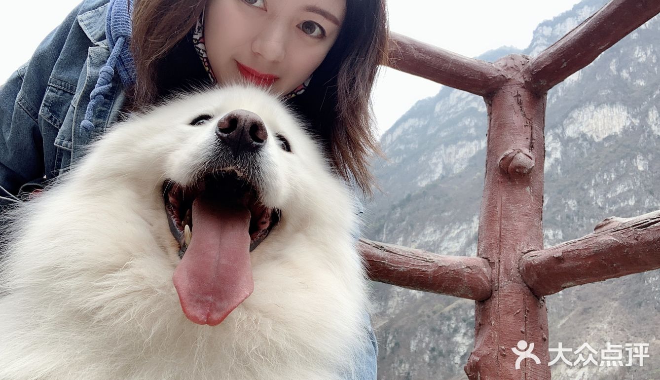 带着狗狗去远方🌞