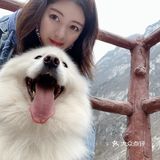 带着狗狗去远方🌞
