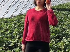 -大自然农场蔬菜草莓采摘园
