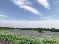 -大兴滨河森林公园