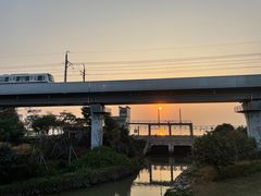 -宝安西湾红树林湿地公园