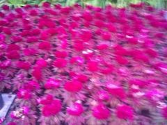 iphone_upload_pic-迎泽公园