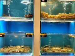 -赶海部落海鲜城(海阳路店)