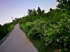 -鬼笑石后山停车场