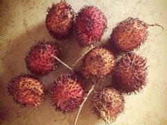 iphone_upload_pic-鸿港海鲜批发市场