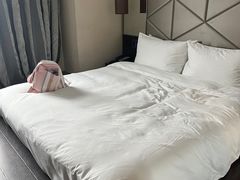 -桔子酒店(上海西藏北路地铁站店)