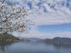 -宝荣鱼馆·临湖之宴(千岛湖店)