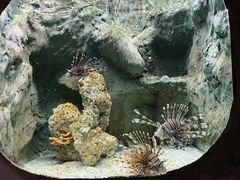 -杭州长乔极地海洋公园