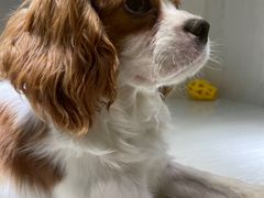 -乐宠宠物店(世纪金源店)